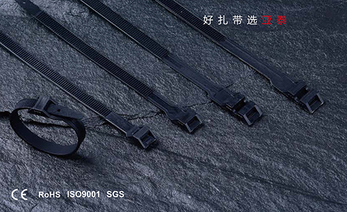 雙扣式尼龍紮帶（dài）