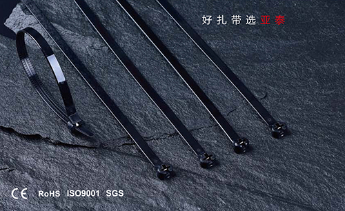 不鏽鋼嵌片（piàn）尼龍紮帶（船用）